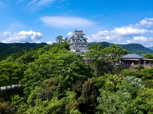 【岐阜1泊2日モデルコース】戦国武将の夢の跡を辿る、岐阜ロマン旅