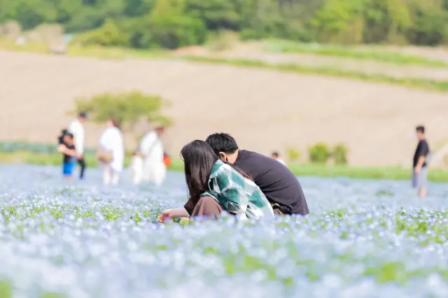 【茨城の人気デートスポット11選】東京から日帰りで美しい自然景観を楽しもう