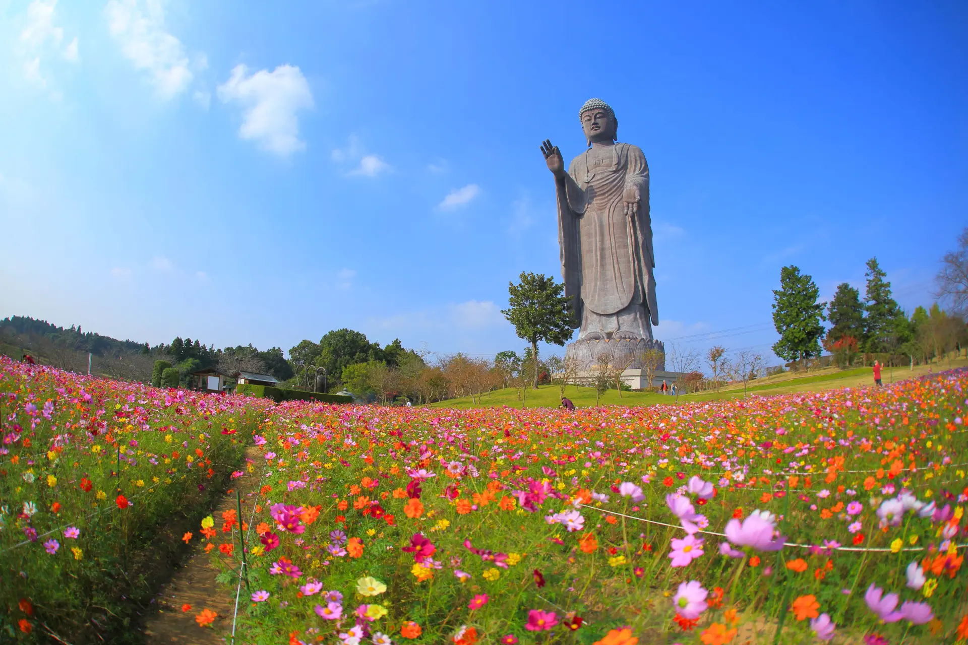 奈良の大仏さまが手のひらに乗ってしまうほどの大きさ。像高世界一の大仏さまと花々に癒やされる1日