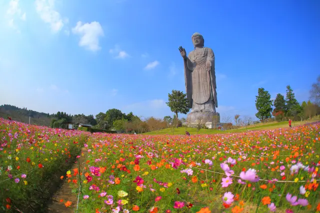 大到連奈良大佛都能放在手掌上的巨大佛像。與世界最高的大佛和繽紛花卉相伴，度過療癒的一天