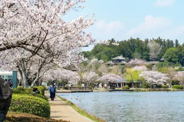 千波湖を中心に広がる自然豊かな公園