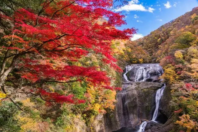 隨四季展現多樣風貌、令人想一訪再訪的知名瀑布