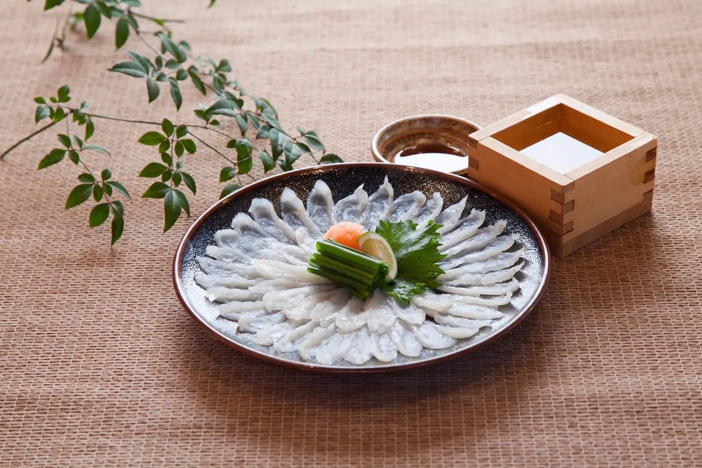薄造りだが弾力のあるふぐの刺身