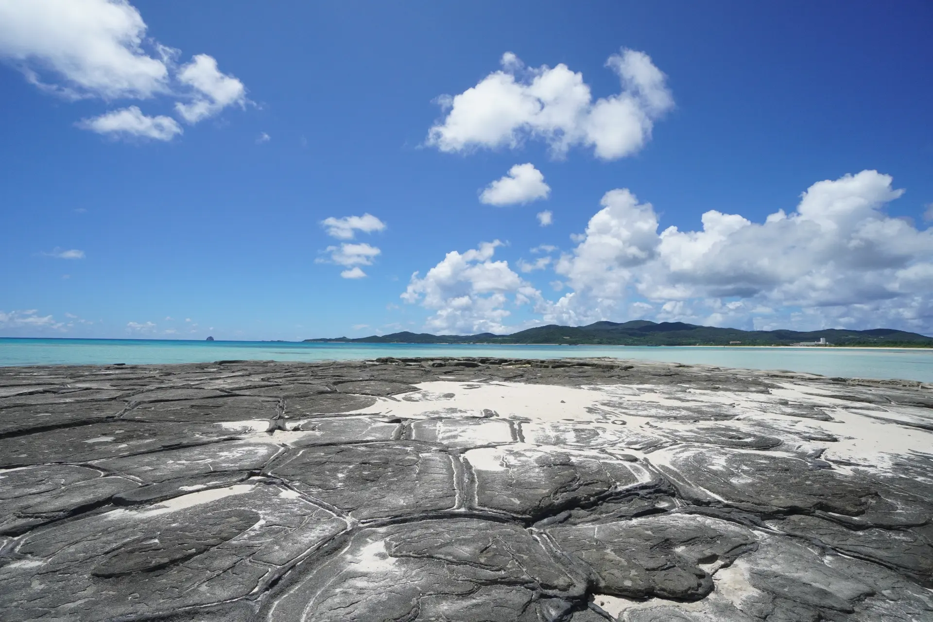 能一览大自然创造的造形之美