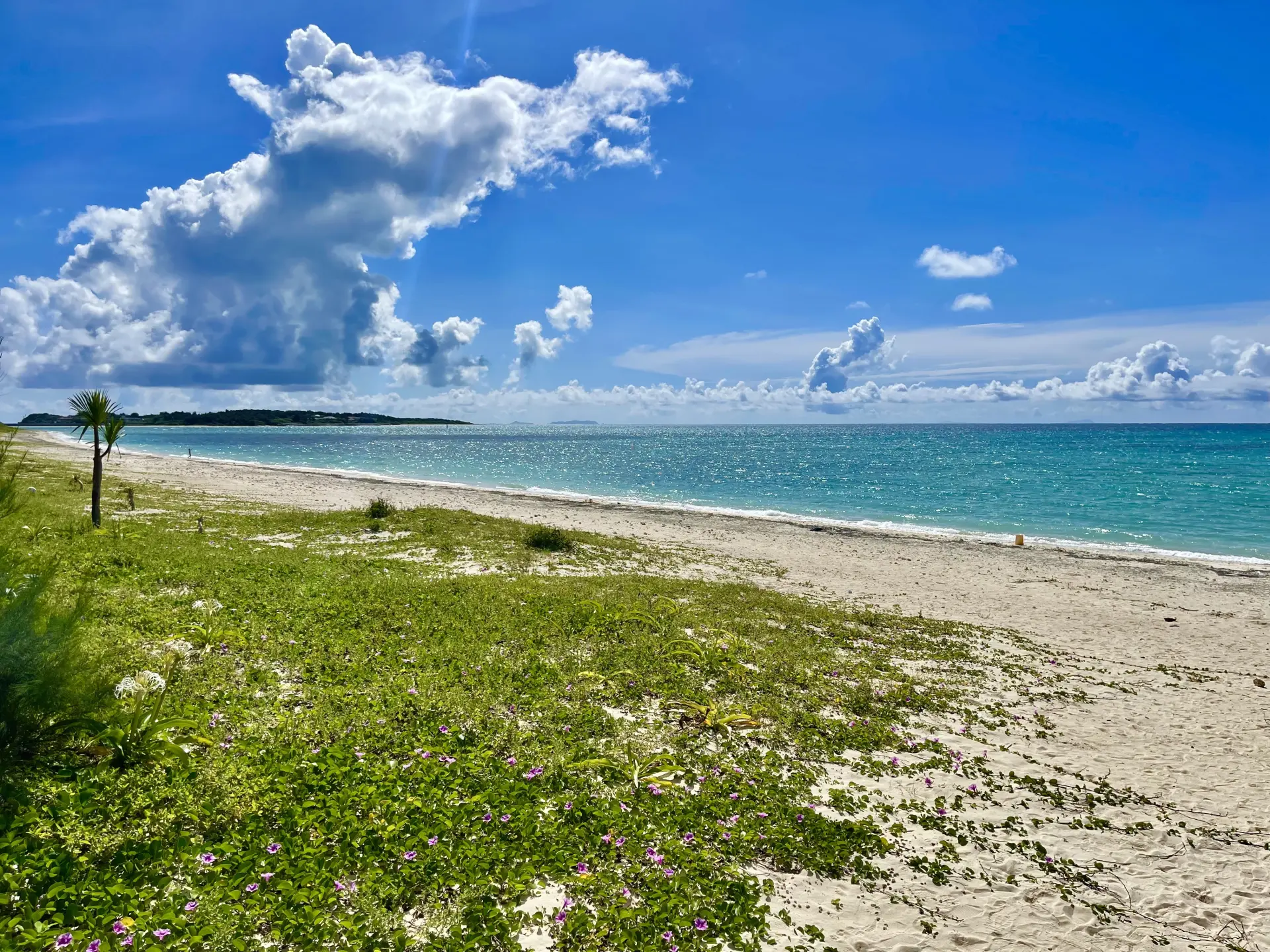 澄澈通透的翡翠绿大海与辽阔的白色沙滩