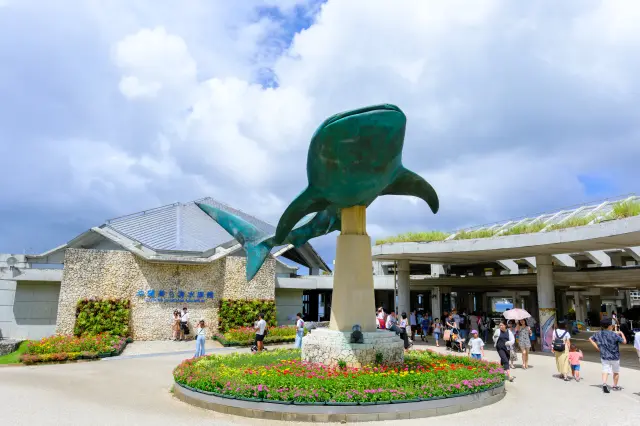 沖縄美ら海水族館の入り口にはジンベエザメのオブジェがお出迎え