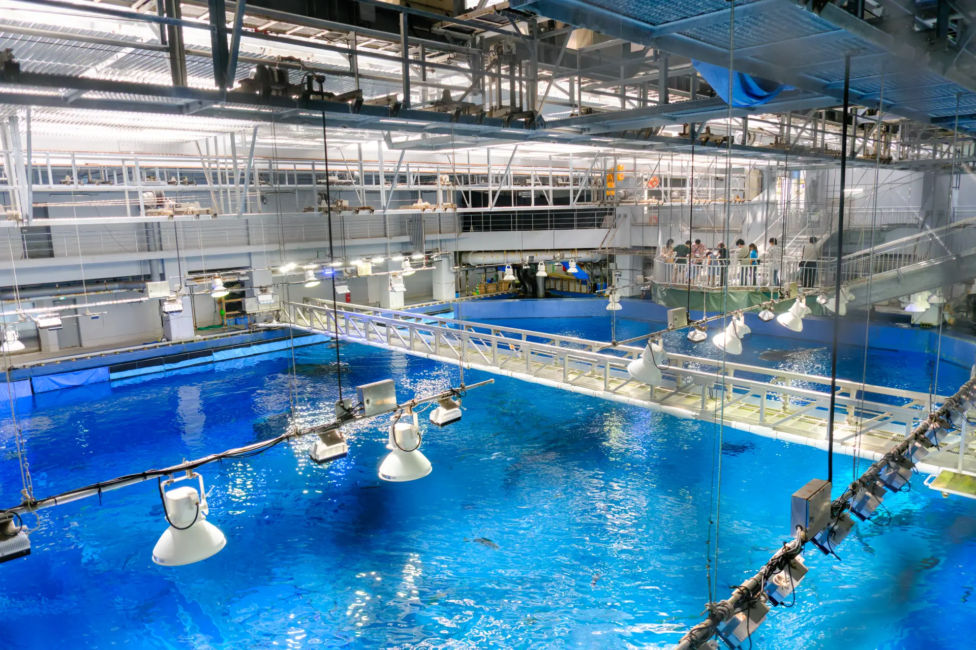 4階の水槽上層部へは、予約なしで自由に出入り可能