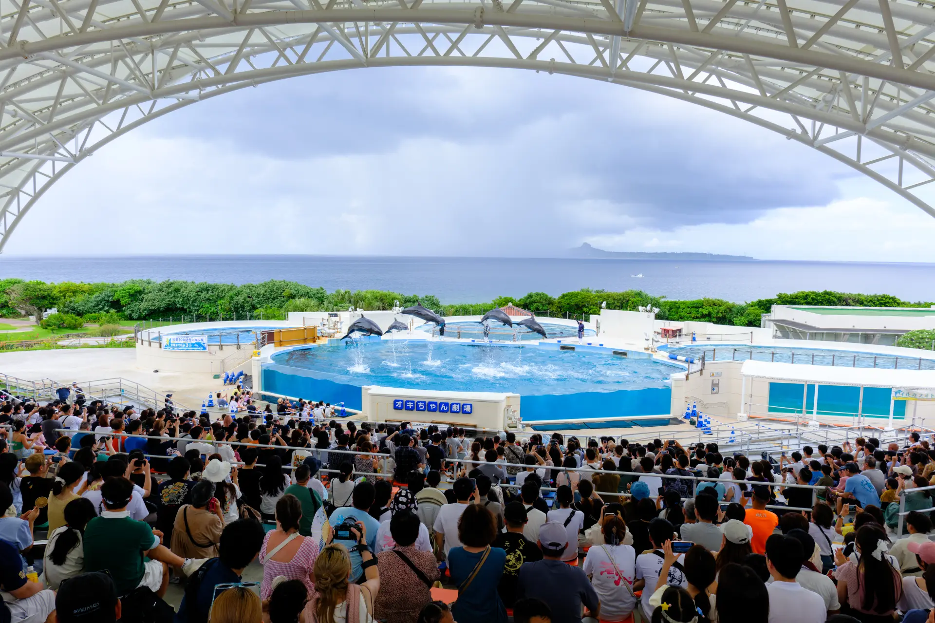 開放感のある野外でのショーは人気のため早めにスタンバイしよう