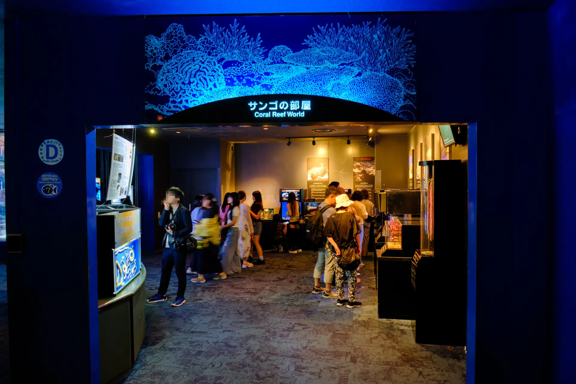 サンゴ礁に生息する危険ないきものを展示する「サンゴの部屋」