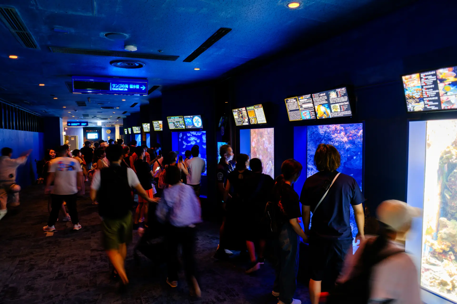 由於飼育著微小生物,展示品會隨時更換也是一大看點