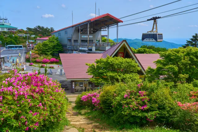 ツツジが彩る春の筑波山