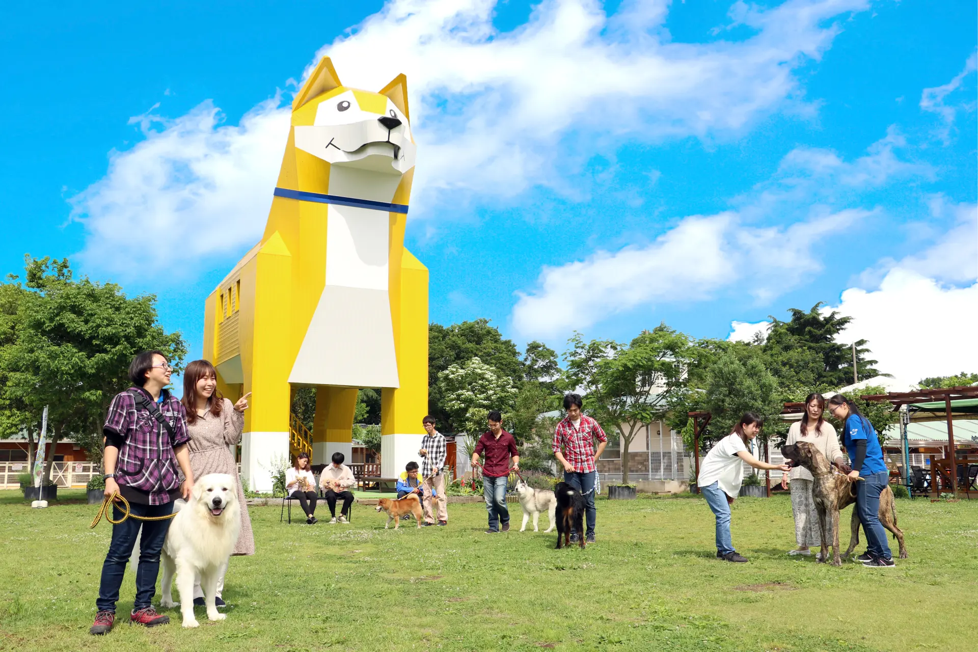500頭もの名犬がお待ちかね。触って、散歩して、ショーを見て愛らしい姿に癒されよう