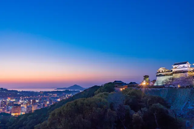 松山市内の松山城と市街地