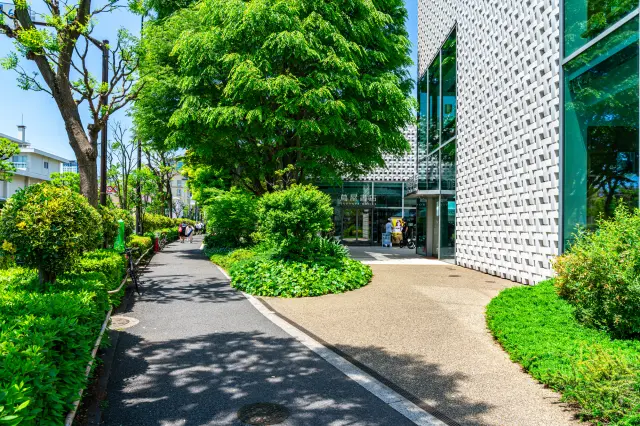 東京の中心部でありながら緑豊かで落ち着いた雰囲気が漂う代官山