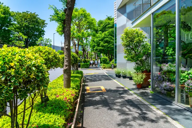 【代官山の観光ガイド】買い物・グルメを楽しむ東京らしい街歩きを満喫