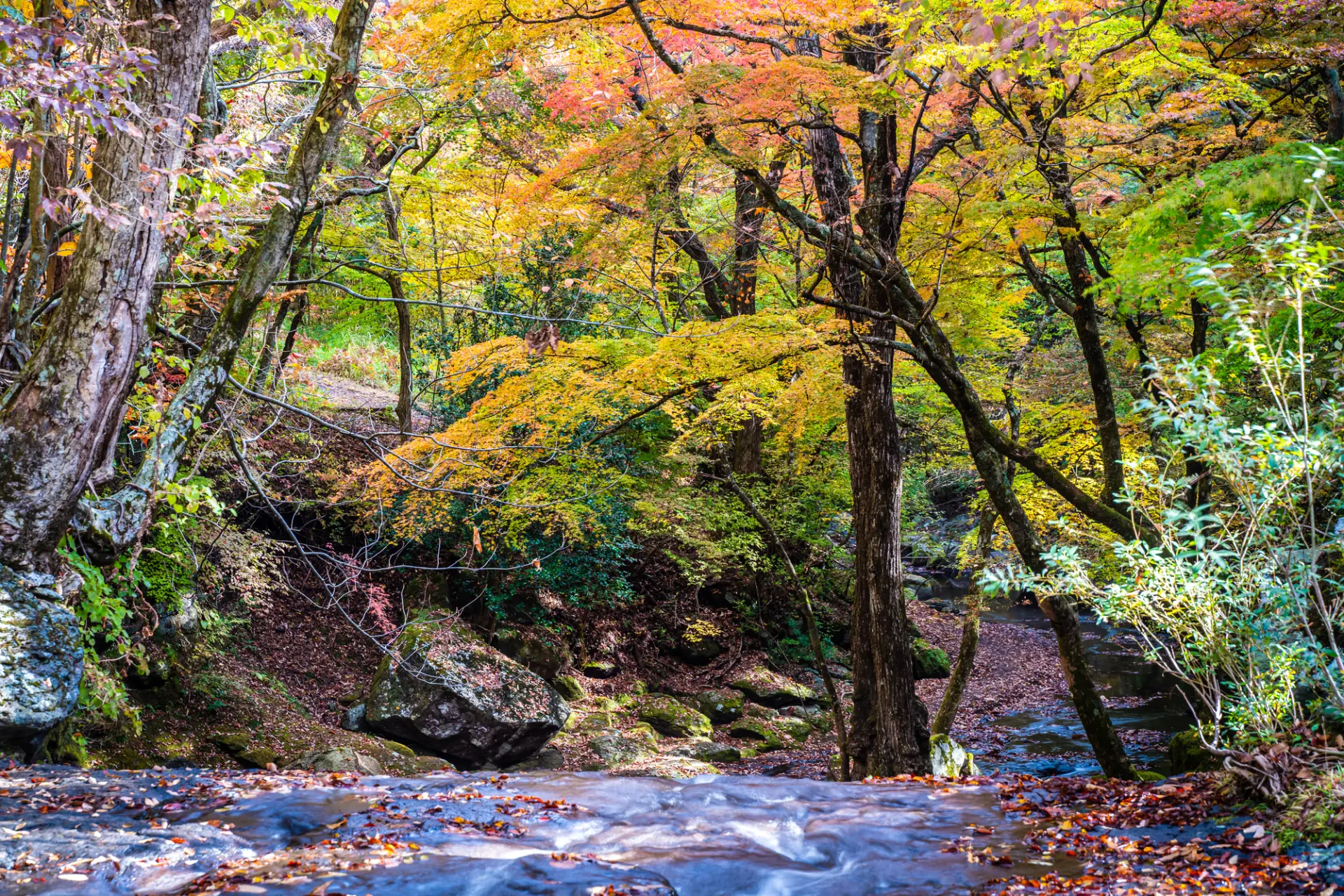 手つかずの自然が織りなす絶景に出会える