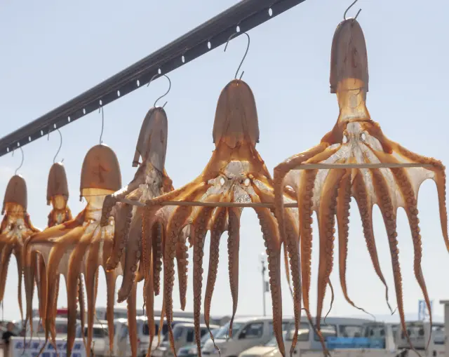 日間賀島ならではの吊るされたタコの干物が並ぶ様子