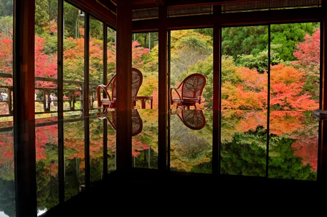 バリエーション豊かな紅葉の名所を巡ってみよう