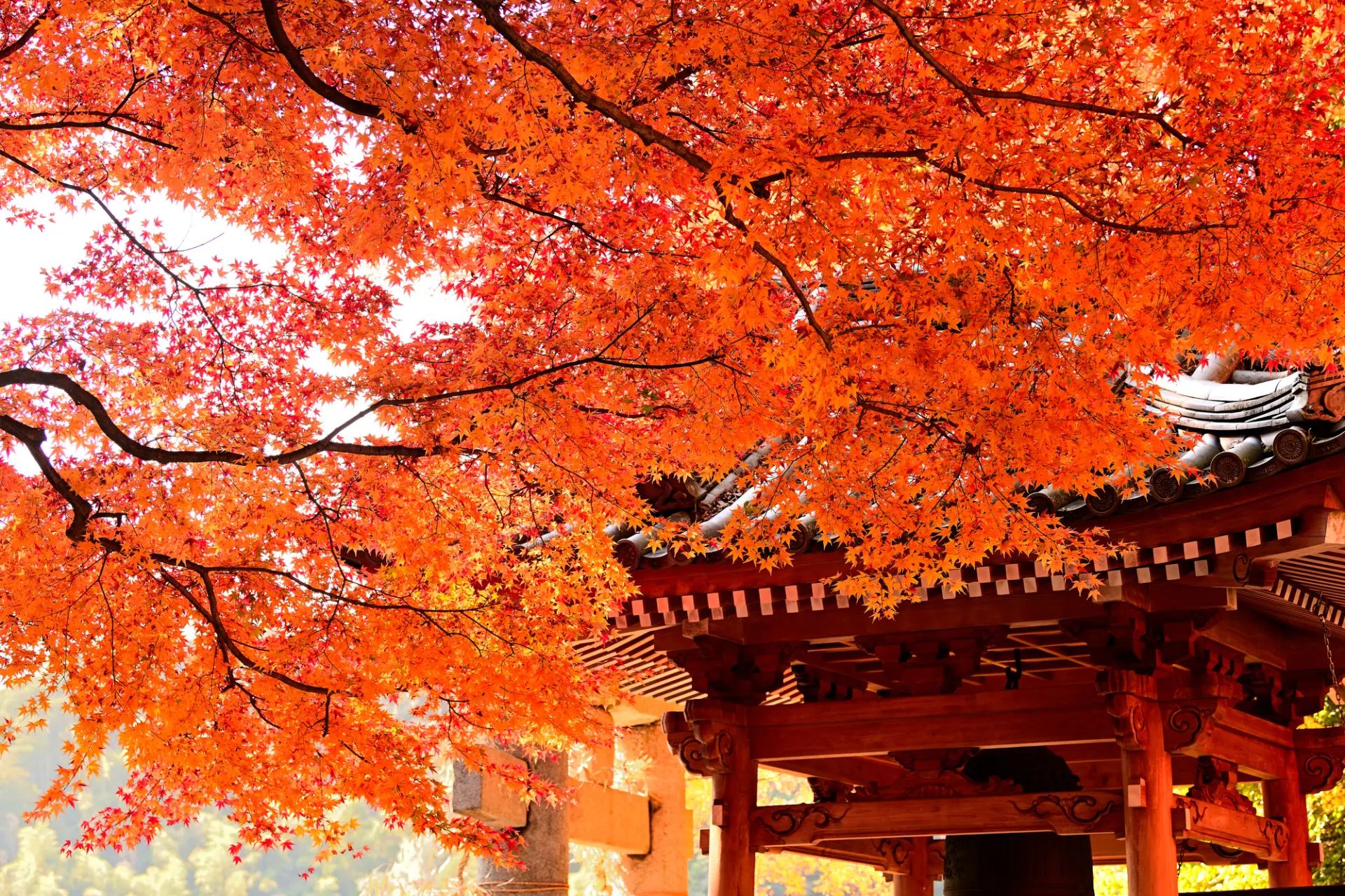 真紅に染まる美しい境内