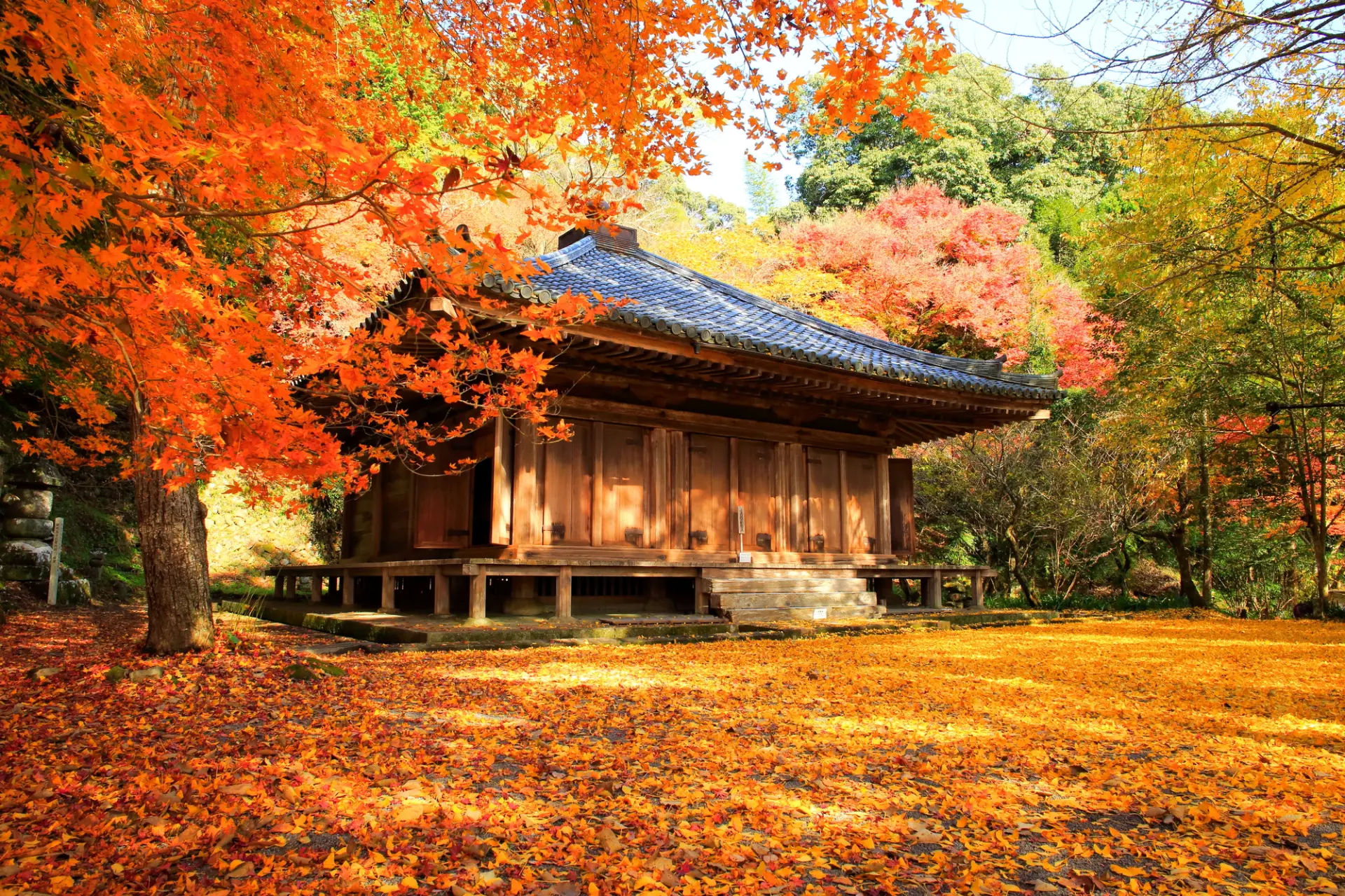 国宝と紅葉の共演は他では見られない光景をつくり出す