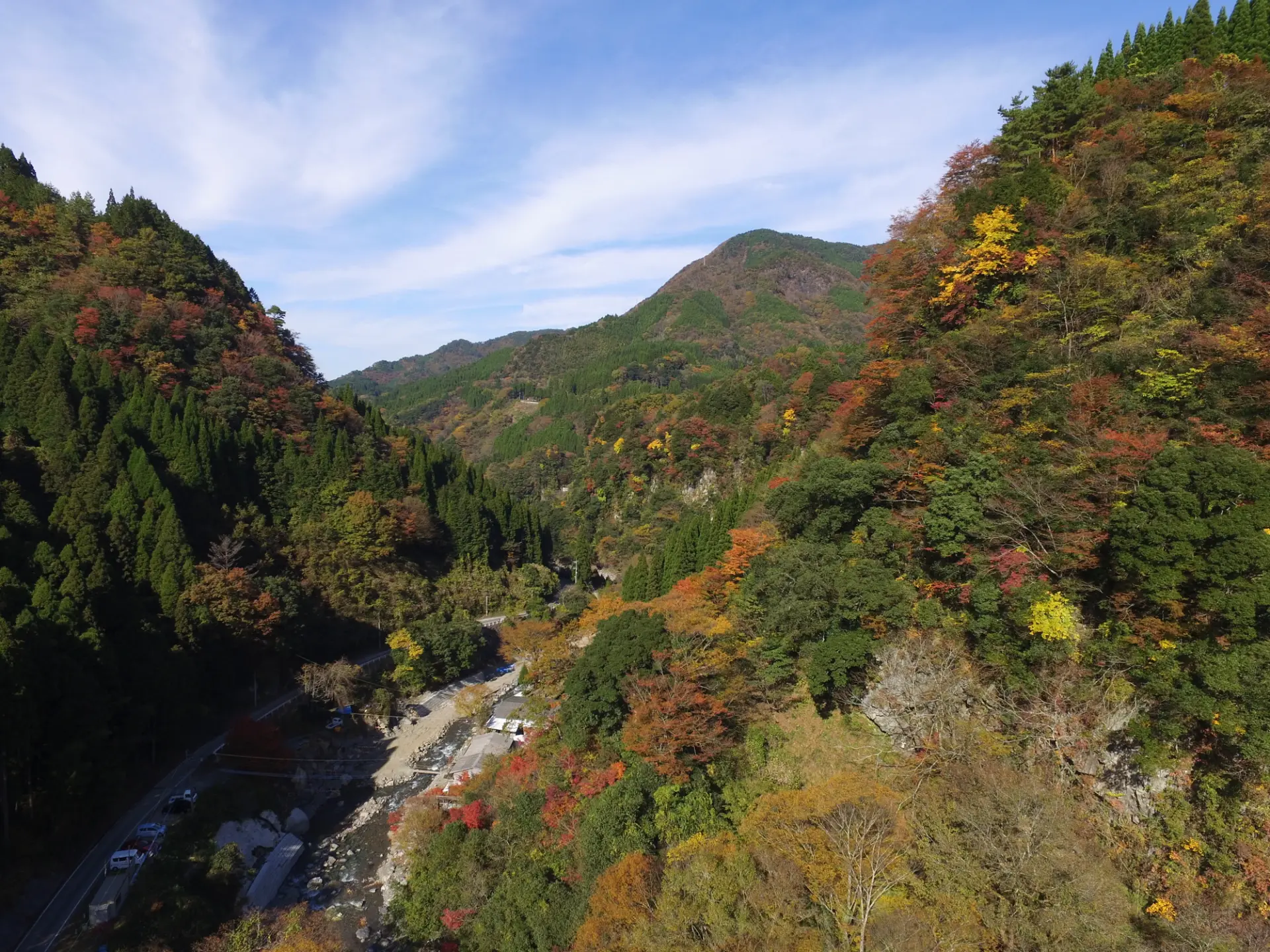 原生林の中に点在する紅葉からは趣を感じられる
