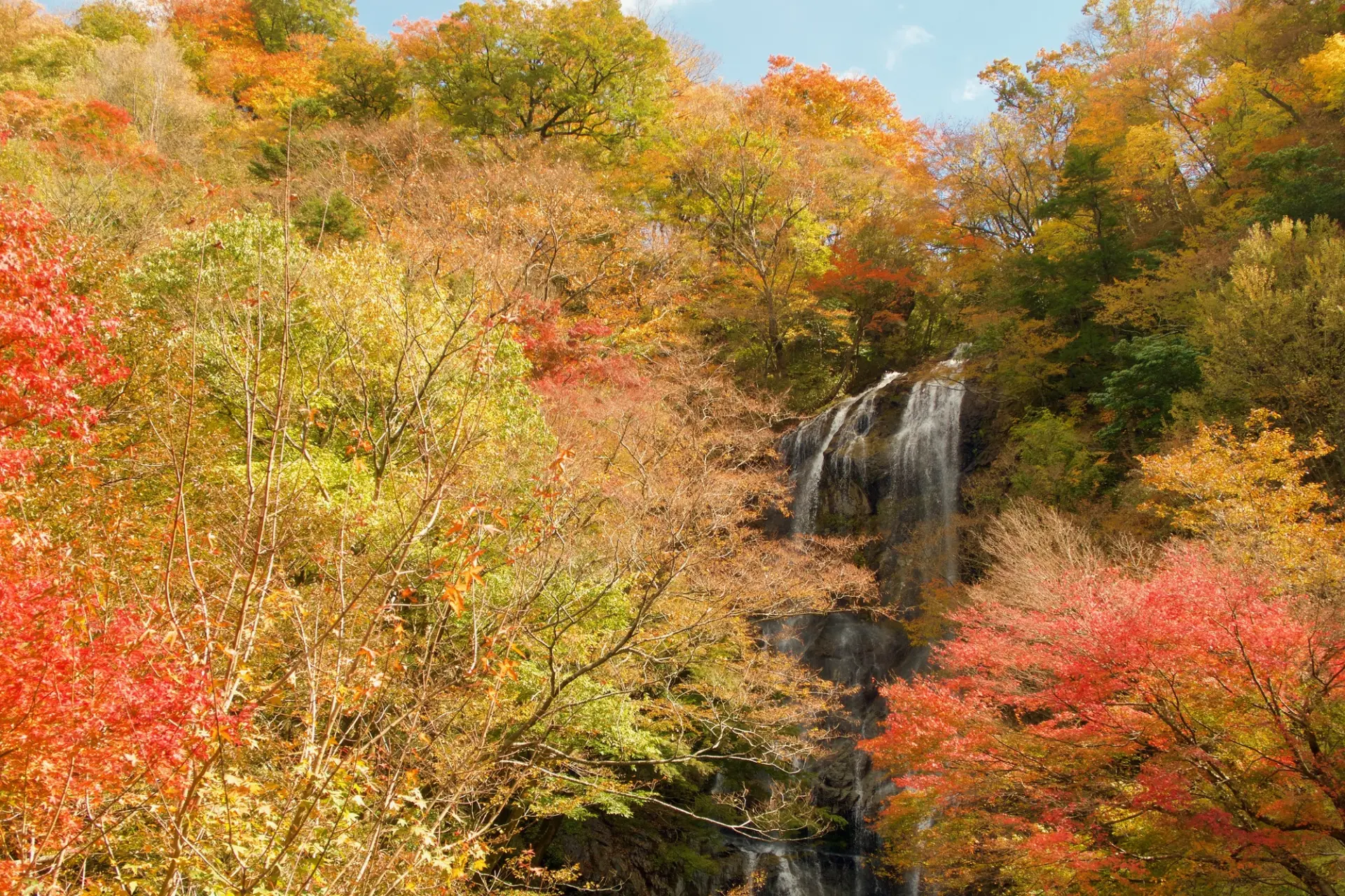 紅葉を前景に流れる美しい滝