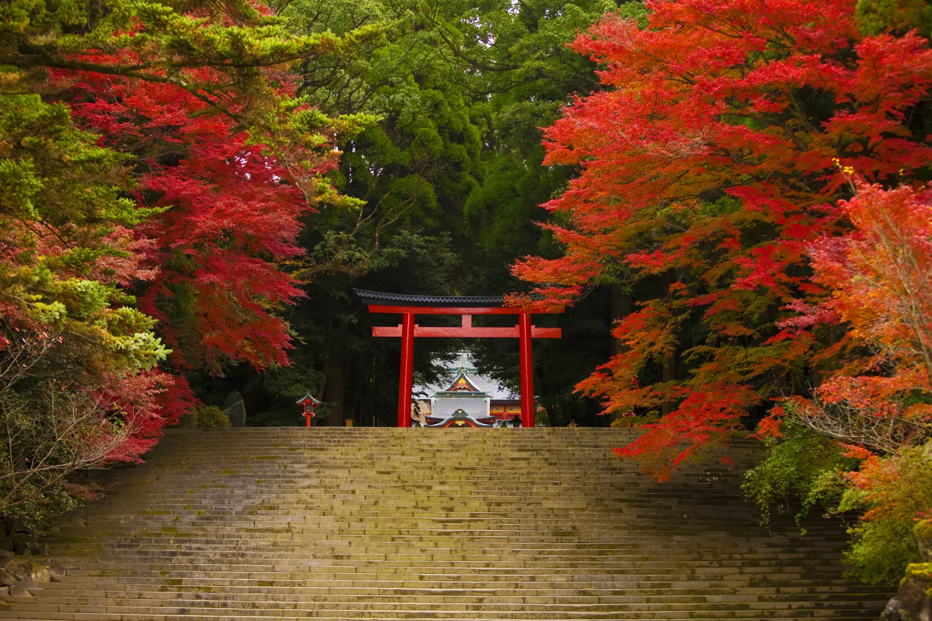 神社ならではの秋の景観に出会える霧島神宮