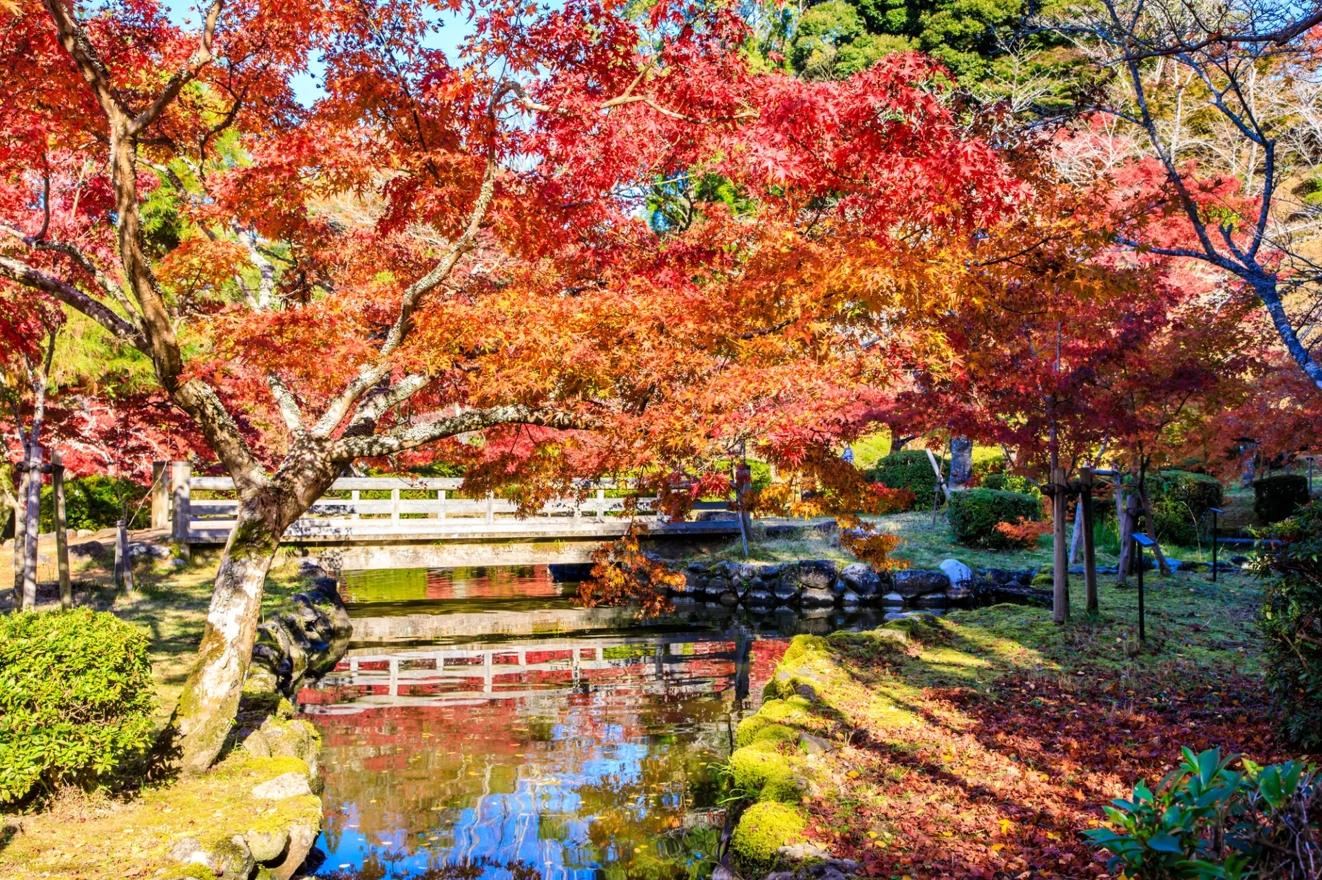 紅葉に染まる山水公園