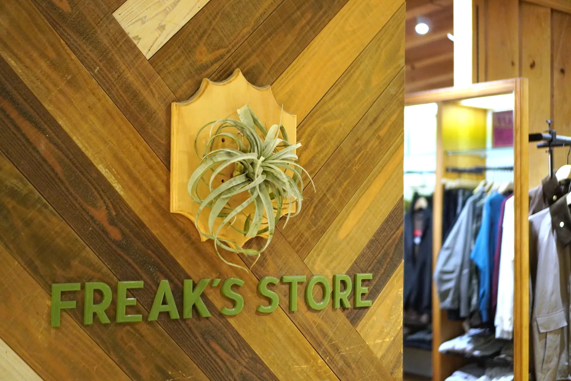 绿色LOGO与空气凤梨为标志