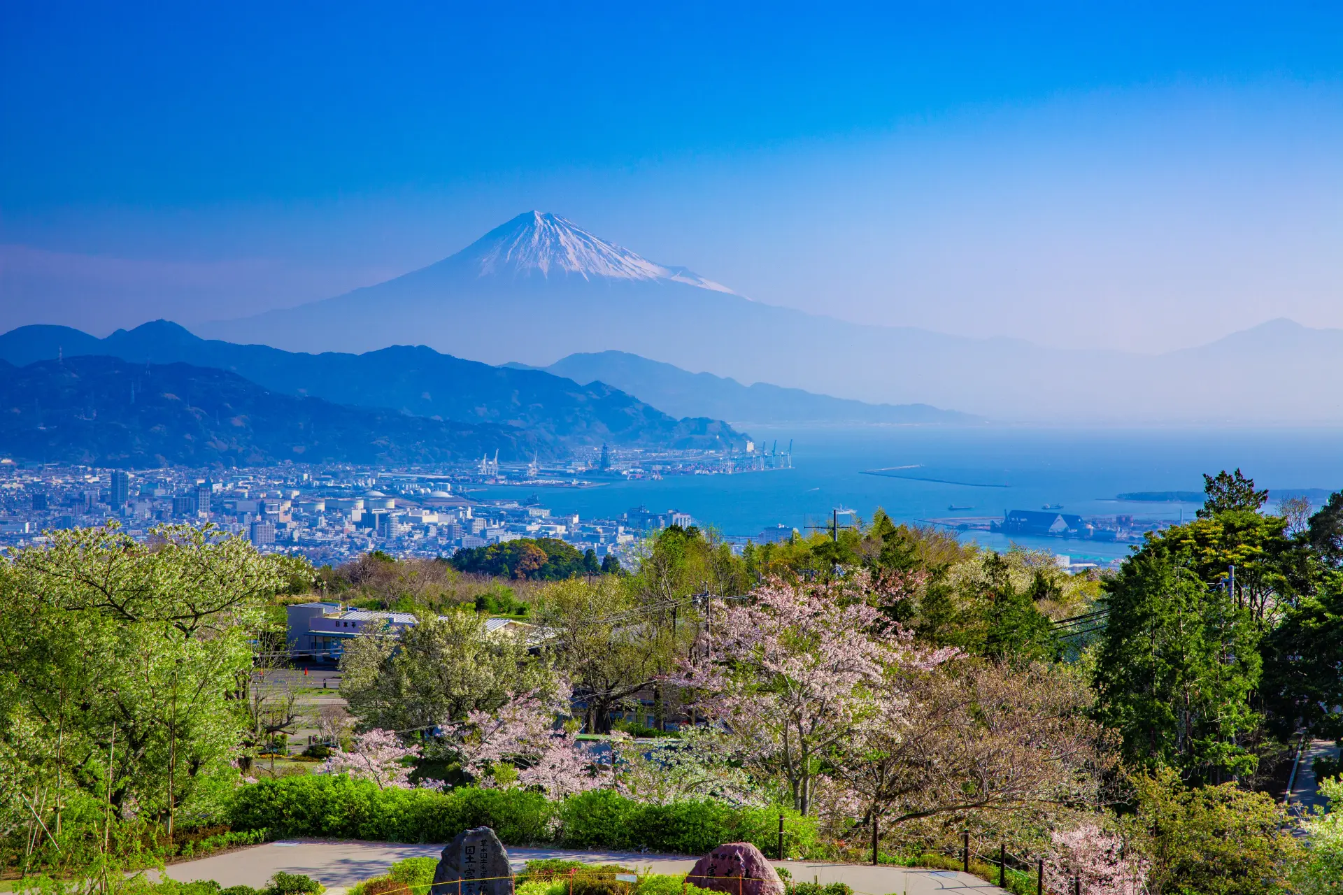 どのフロアからも表情の異なる美しい景観が眺められる