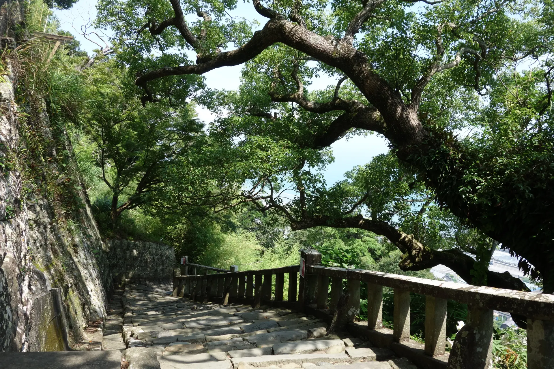 日本平ロープウェイができるまでは久能山の山下から1,159段の石段を登って参拝したという