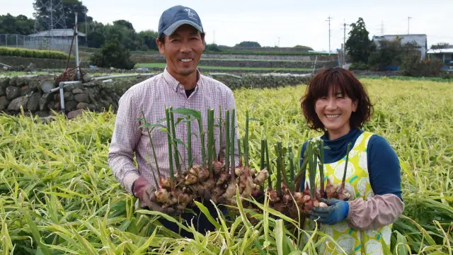 使用生薑農家「松本農園」栽種的生薑