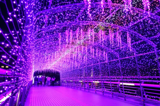 期間中は小倉の様々な場所がイルミネーションで輝く