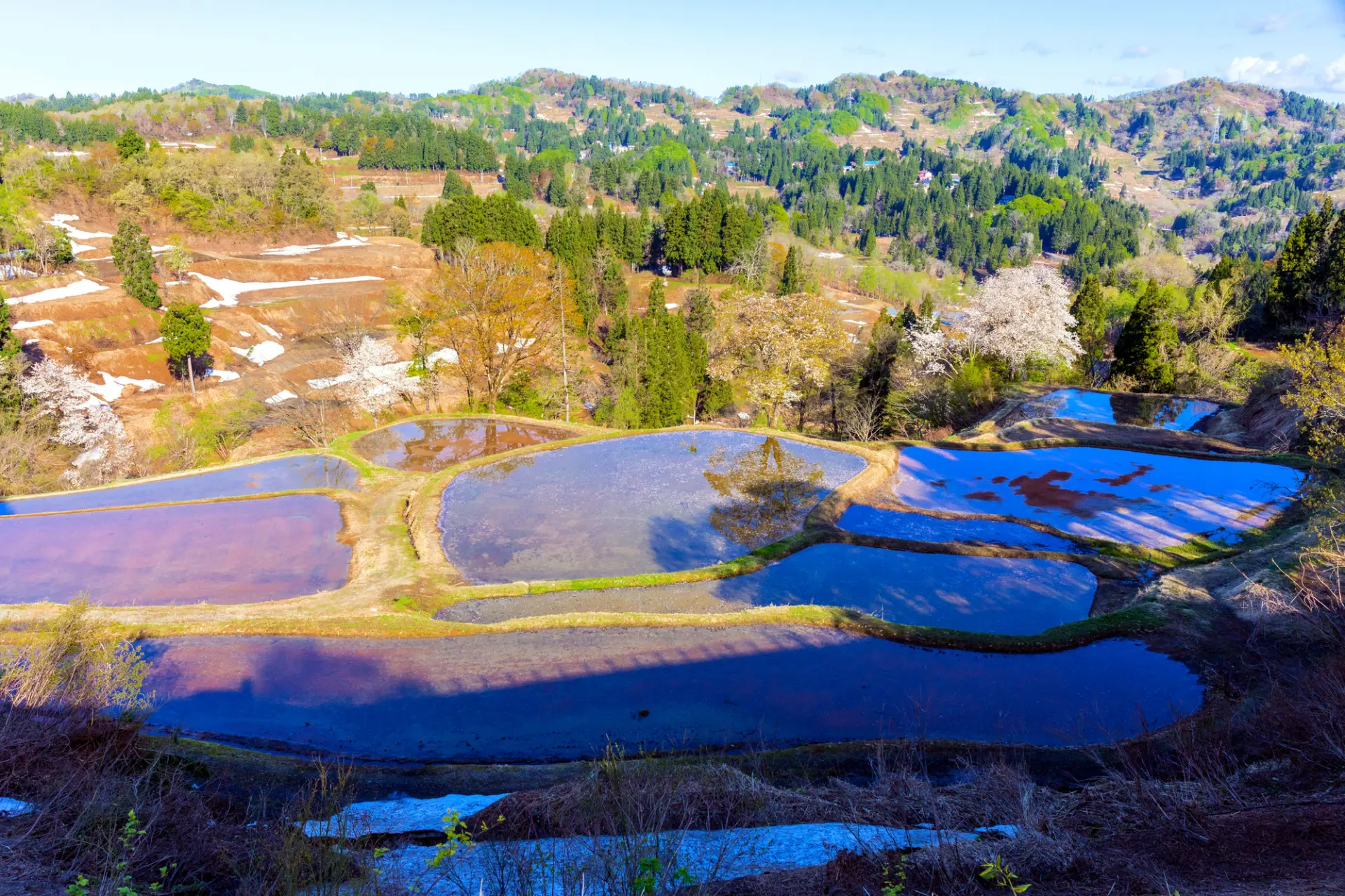 雪解け水で満たされた棚田