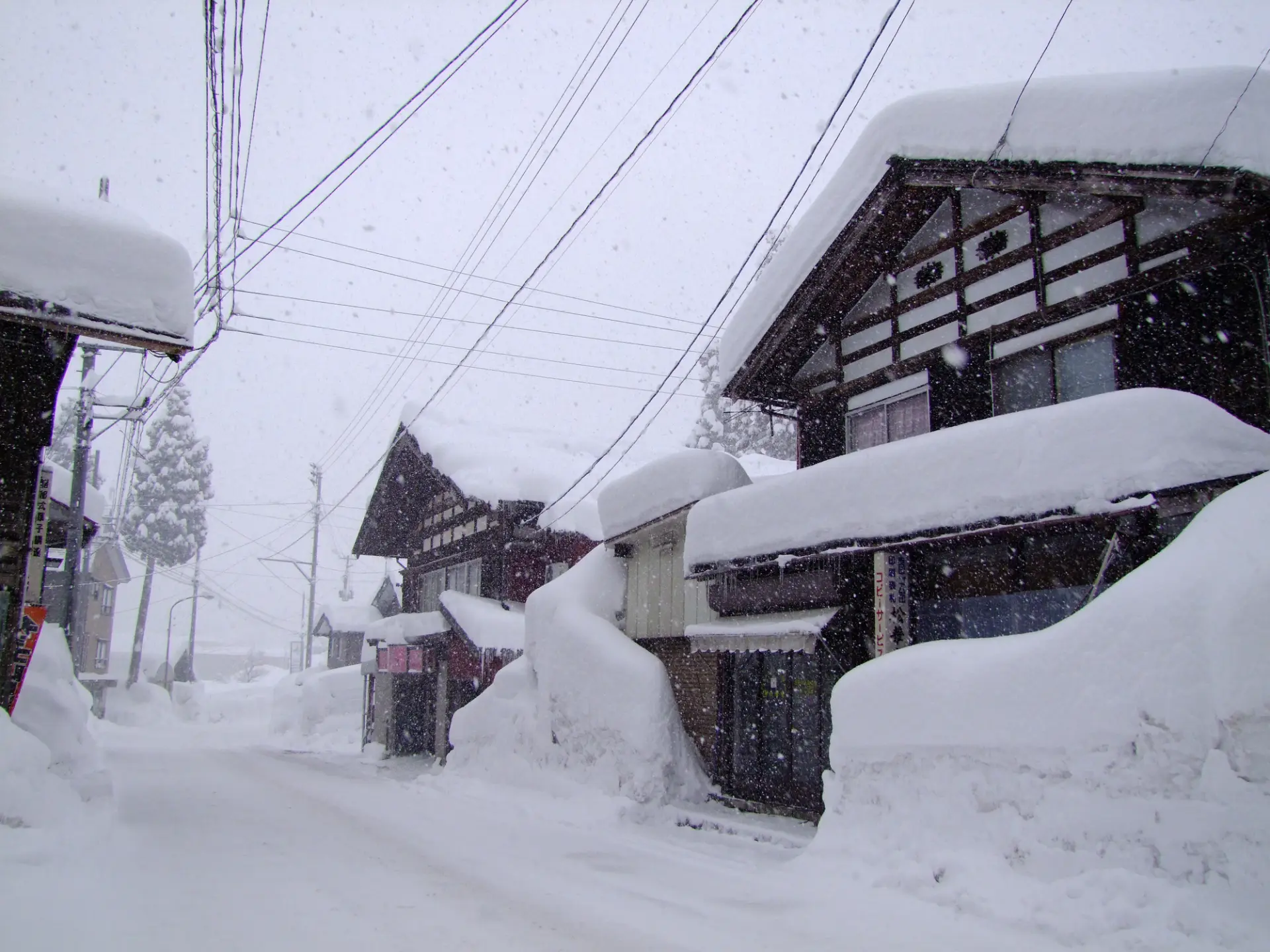 豪雪地帯の越後妻有ならではの風景が広がる