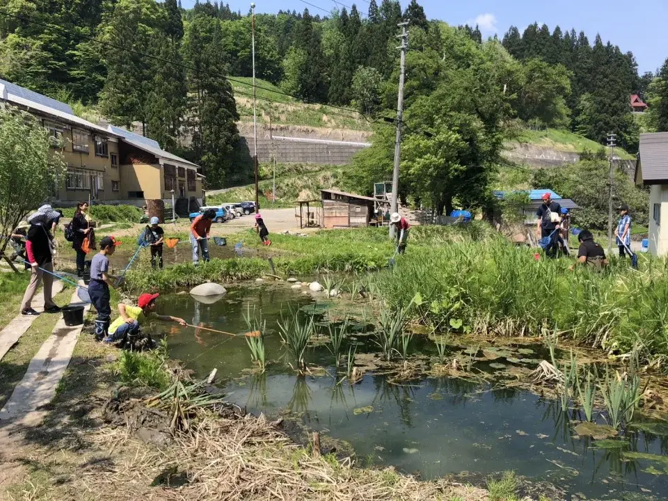 多彩な生き物たちが暮らすビオトープ
