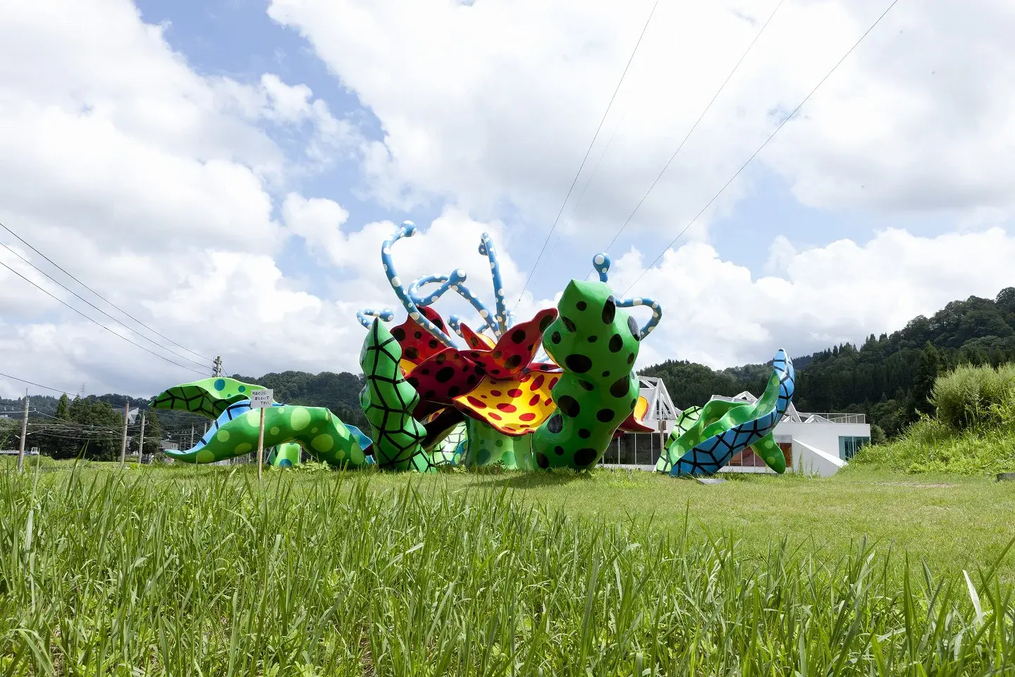 草間彌生「花咲ける妻有」 Photo by Nakamura Osamu