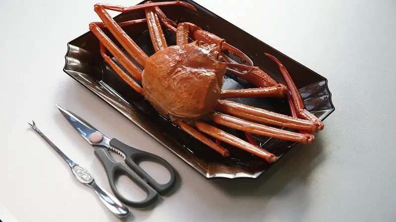 富山湾の新鮮な「高志紅ガニ」を味わえる