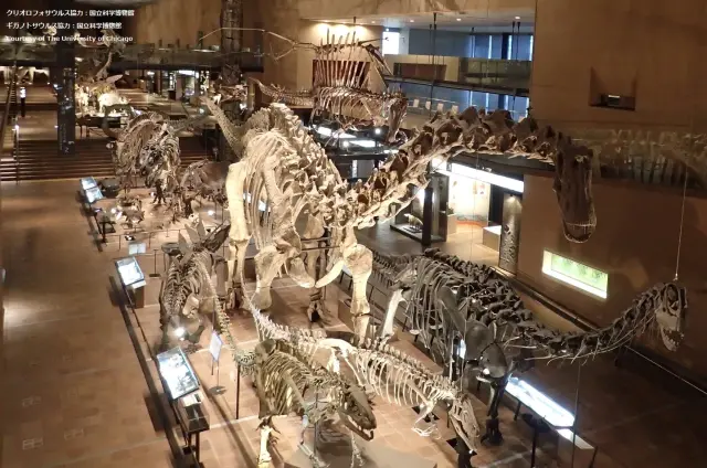 （アースモール）巨大な恐竜骨格標本は迫力満点
