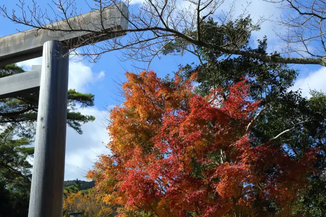 紅葉で色づく伊勢神宮も美しい