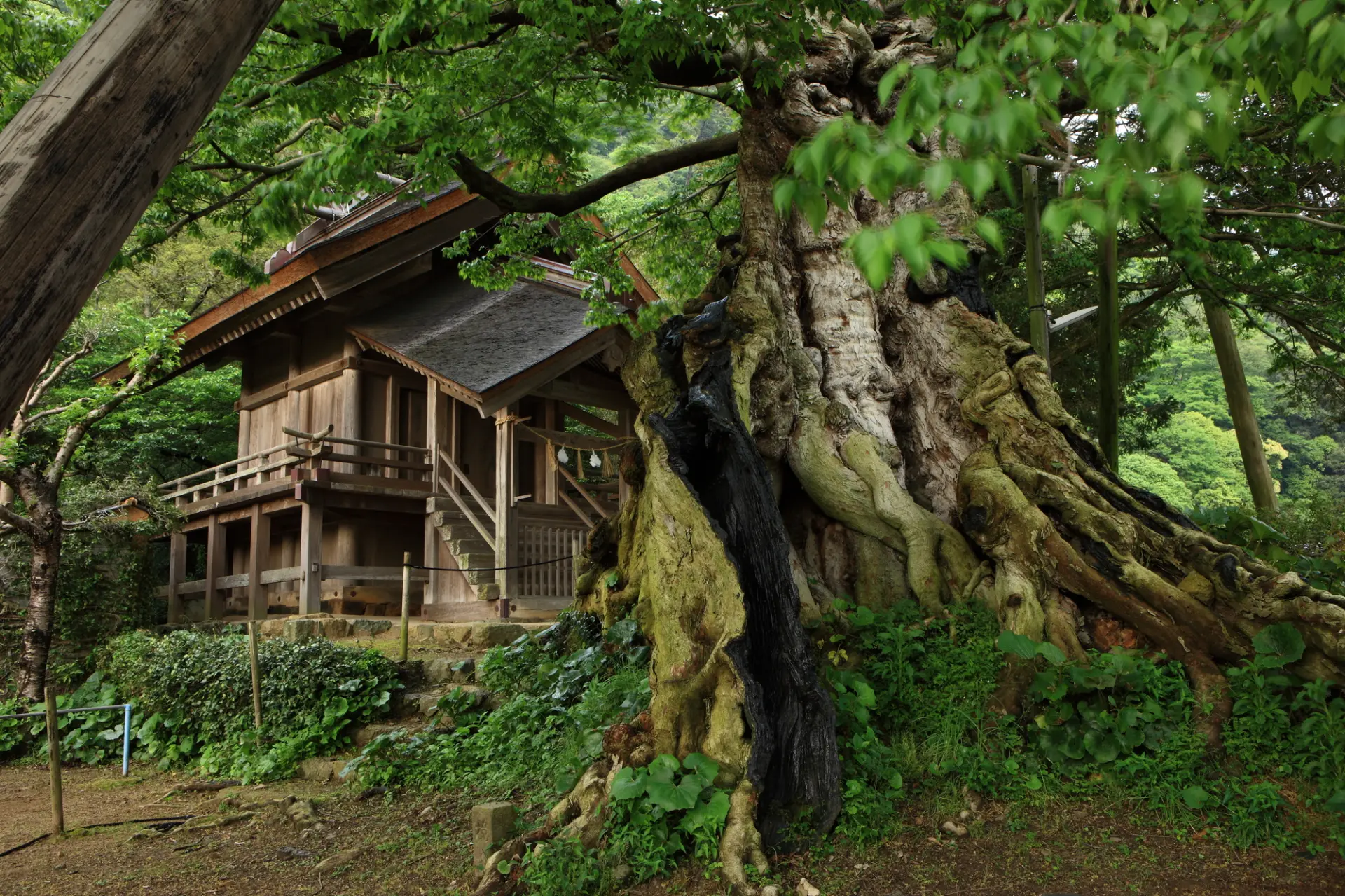 出雲大社境内外にある命主社