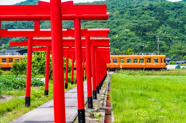 参道を通る一畑電車と真っ赤な鳥居の美しいコントラスト
