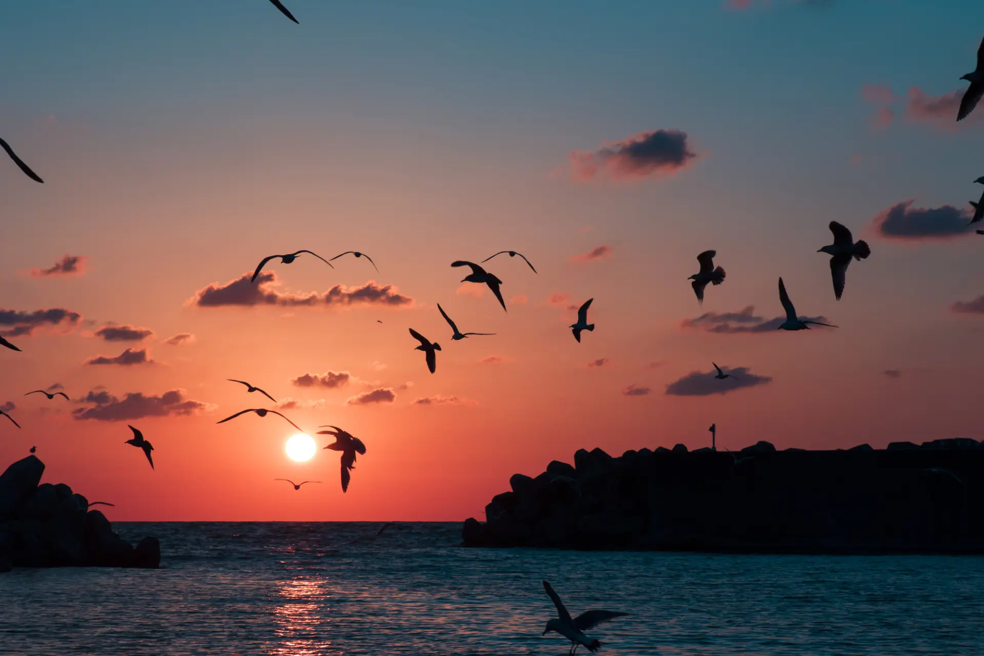 空と海が刻々と色を変えていく日御碕の風景は息をのむ美しさ