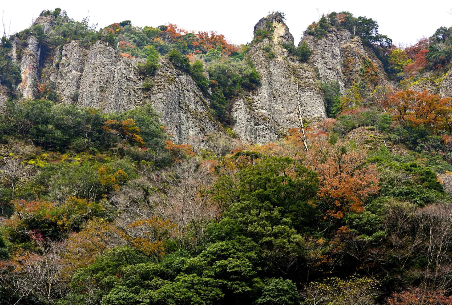立久恵峡の奇岩や柱石のダイナミックな景観と色づいた紅葉が織りなす壮大な景観