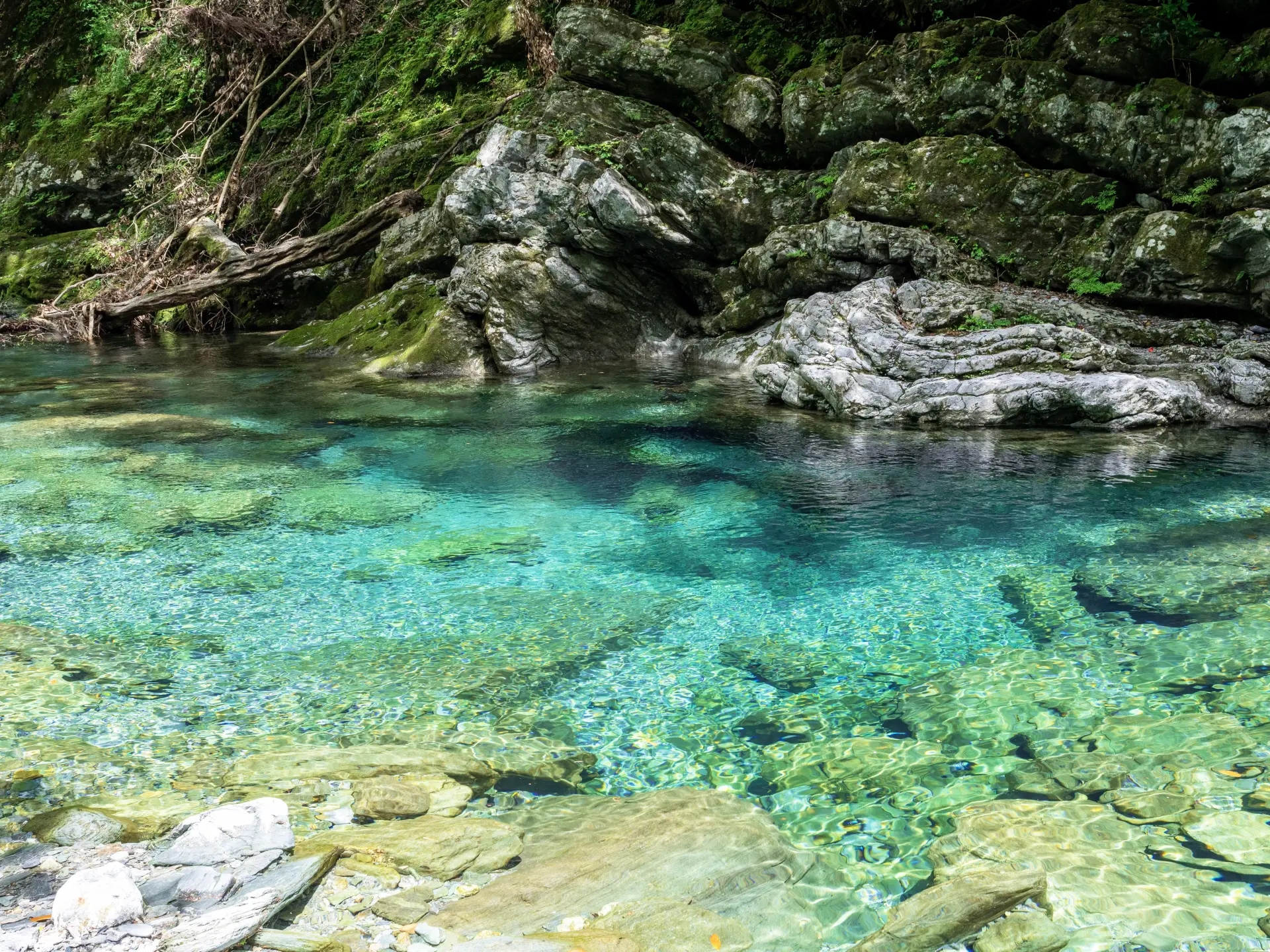 One of Japan’s clearest rivers, known for its “Niyodo Blue” color