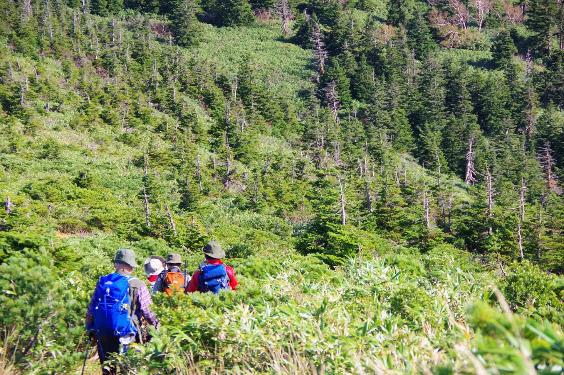 Hike and trek in groups whenever possible