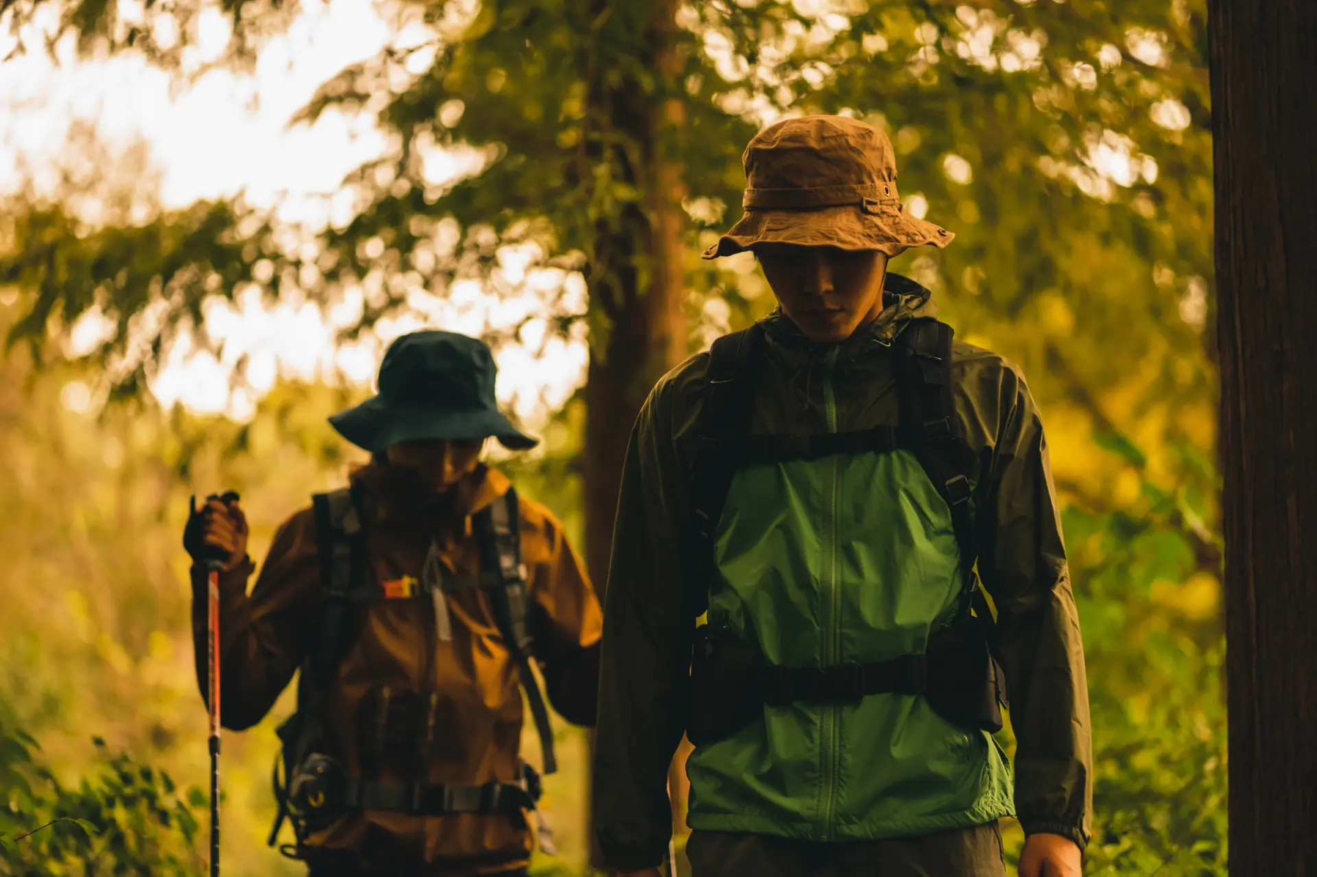 Avoid going out in the morning and evening in areas where bears may appear