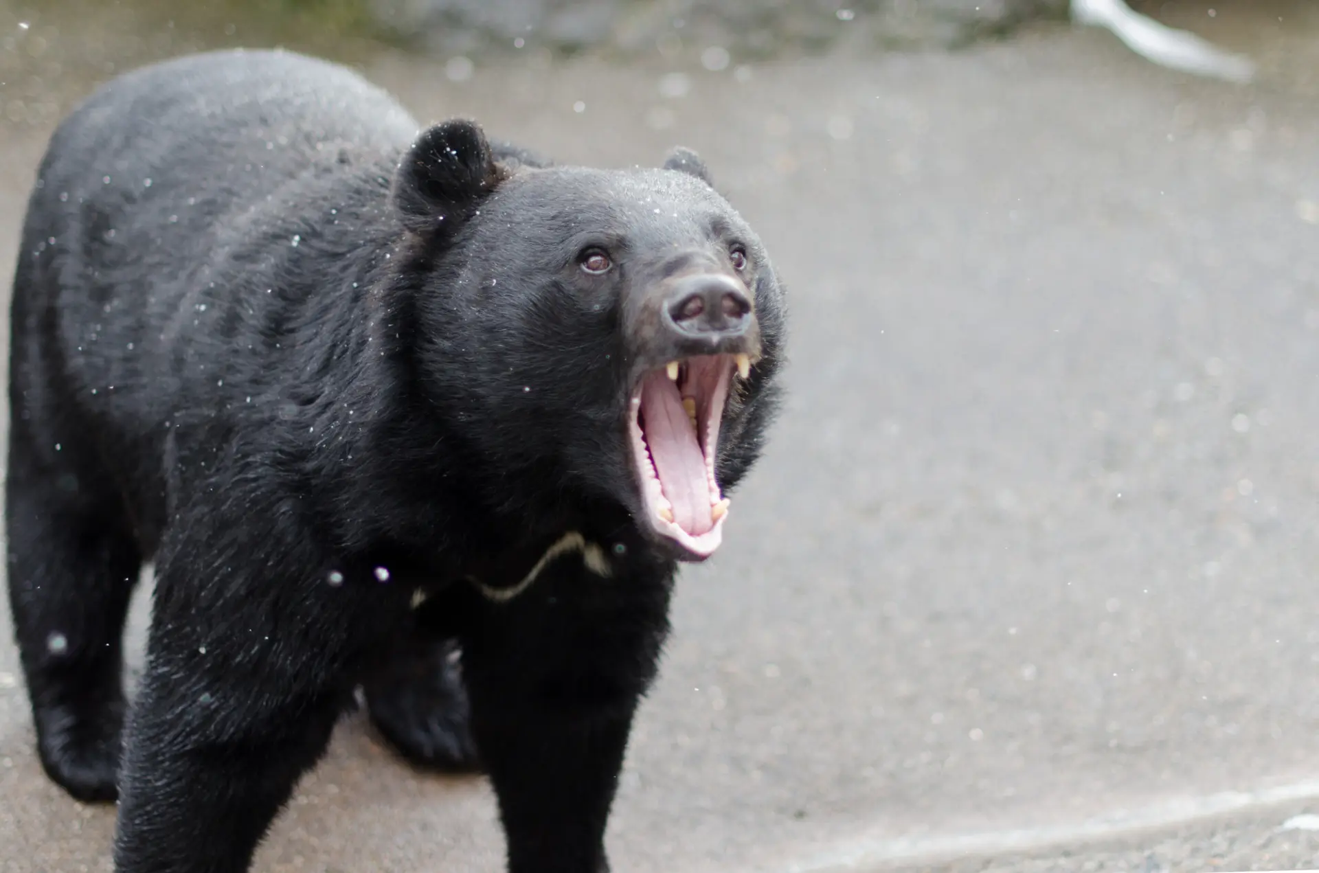 Take a defensive posture to avoid life‑threatening injuries