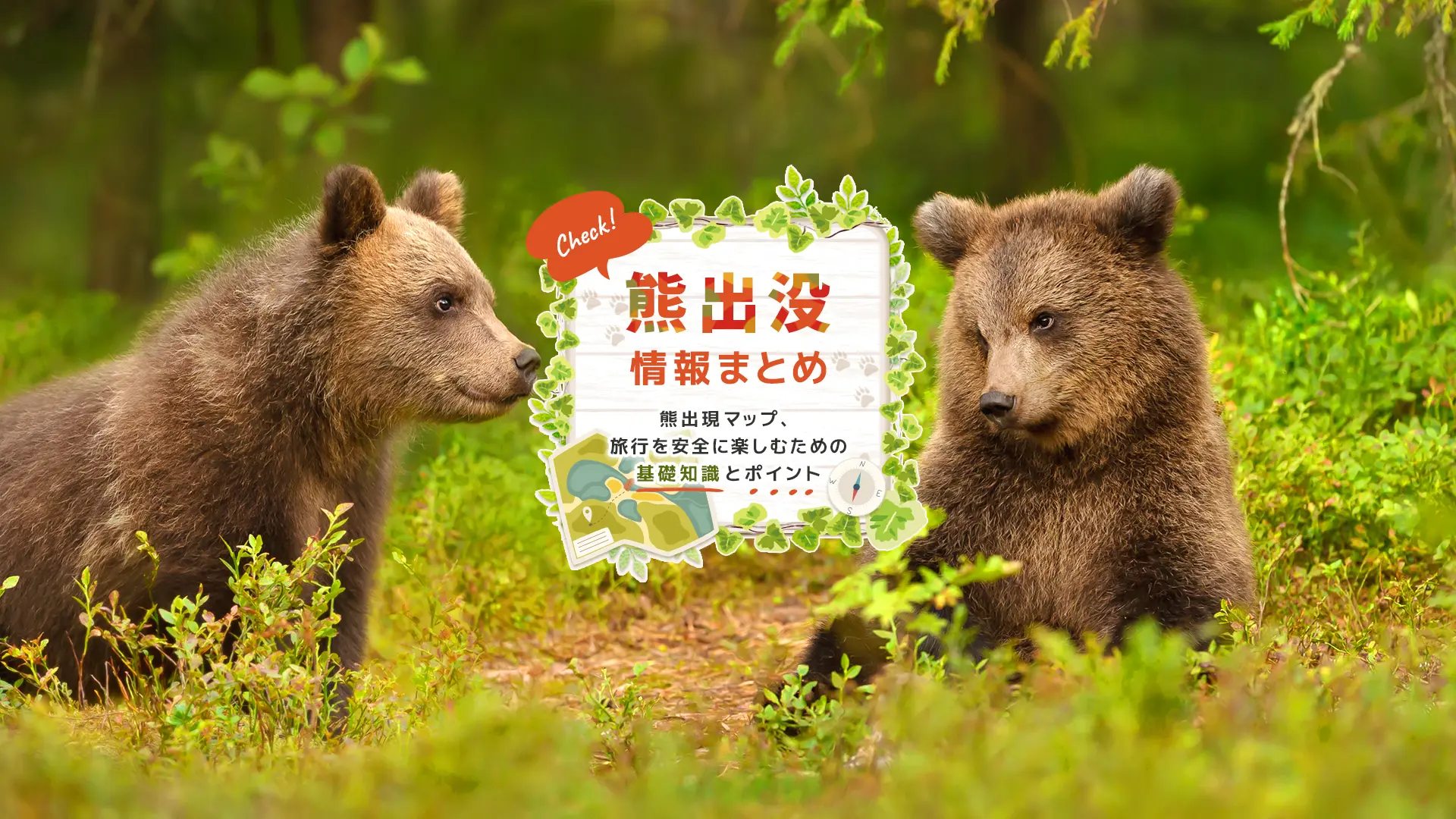 【熊出没情報・熊出現マップまとめ】旅行を安全に楽しむための基礎知識とポイント