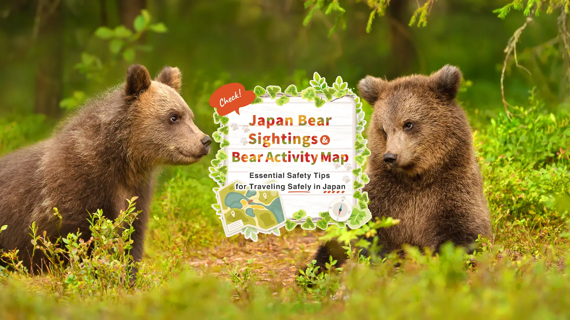 Japan Bear Sightings & Bear Activity Map - Essential Safety Tips for Traveling Safely in Japan